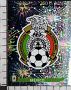 F430 Figurina Panini 2010 Fifa World Cup SOUTH AFRICA MEXICO num. 50