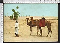 Q8382 ALGERIE LE SUD FASCINANT ANIMAL CAMEL scritta