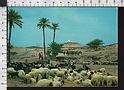 S6357 ALGERIE AU BORD DE LA GRANDE ROUTE VG ANIMALS SHEEP