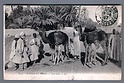 U5131 ALGERIE SCENES ET TYPES UNE HALTE VG FP crease