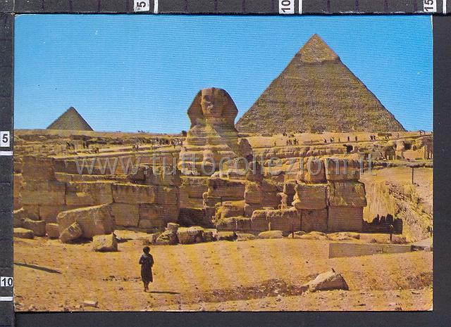 Postcards from Egypt Collection of African postal cards - Collezione di ...