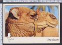 N5350 ANIMALS CAMEL OF TUNISIA UN PROFIL DE REVES