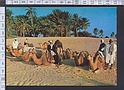 N5363 DOUZ TUNISIE DUNES DE SABLE CAMELS ANIMATED Viaggiata