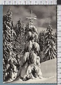 R4234 GERARDMER 88 LES SAPINS EN HIVER VG SB