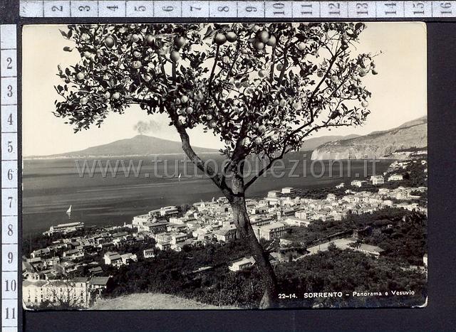 Sorrento cartoline postali - TuttoCollezioni.it il sito per collezionisti