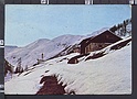 O4963 LIVIGNO VAL FEDERIA SONDRIO - VEDI RETRO