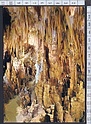 N4388 GROTTE DI CASTELLANA (Bari) REALTA MIRABILE Viaggiata