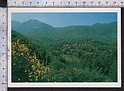 Q2210 CASTAGNO D ANDREA FIRENZE PANORAMA VG