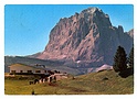 M780 DOLOMITI VAL GARDENA CAPANNA COL REISER m.2106 SASSOLUNGO (RIF.FERMEDA) VIAGGIATA SB