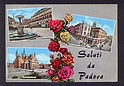 M1956 SALUTI DA PADOVA 3 VEDUTE FIORI  VIAGGIATA