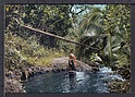 N8233 TAHITI SOUS BOIS POLYNESIEN GIRL