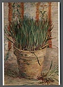 U1683 Arte VINCENT VAN GOGH POT WITH CHIVES