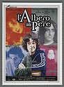 807 Cinema 1998 L ALBERO DELLE PERE FRANCESCA ARCHIBUGI VALERIA GOLINO Ciak