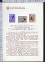 Bollettino Illustrativo 1966-124 Universiade d inverno 1966 Lire 90 40 500